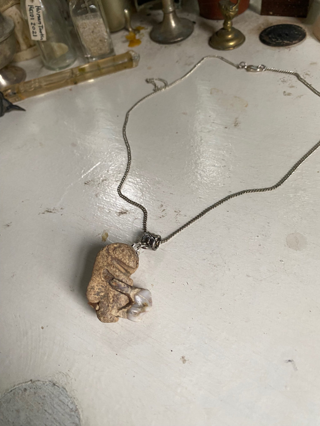 Tooth in Fossilised Bone on a Chain image 1