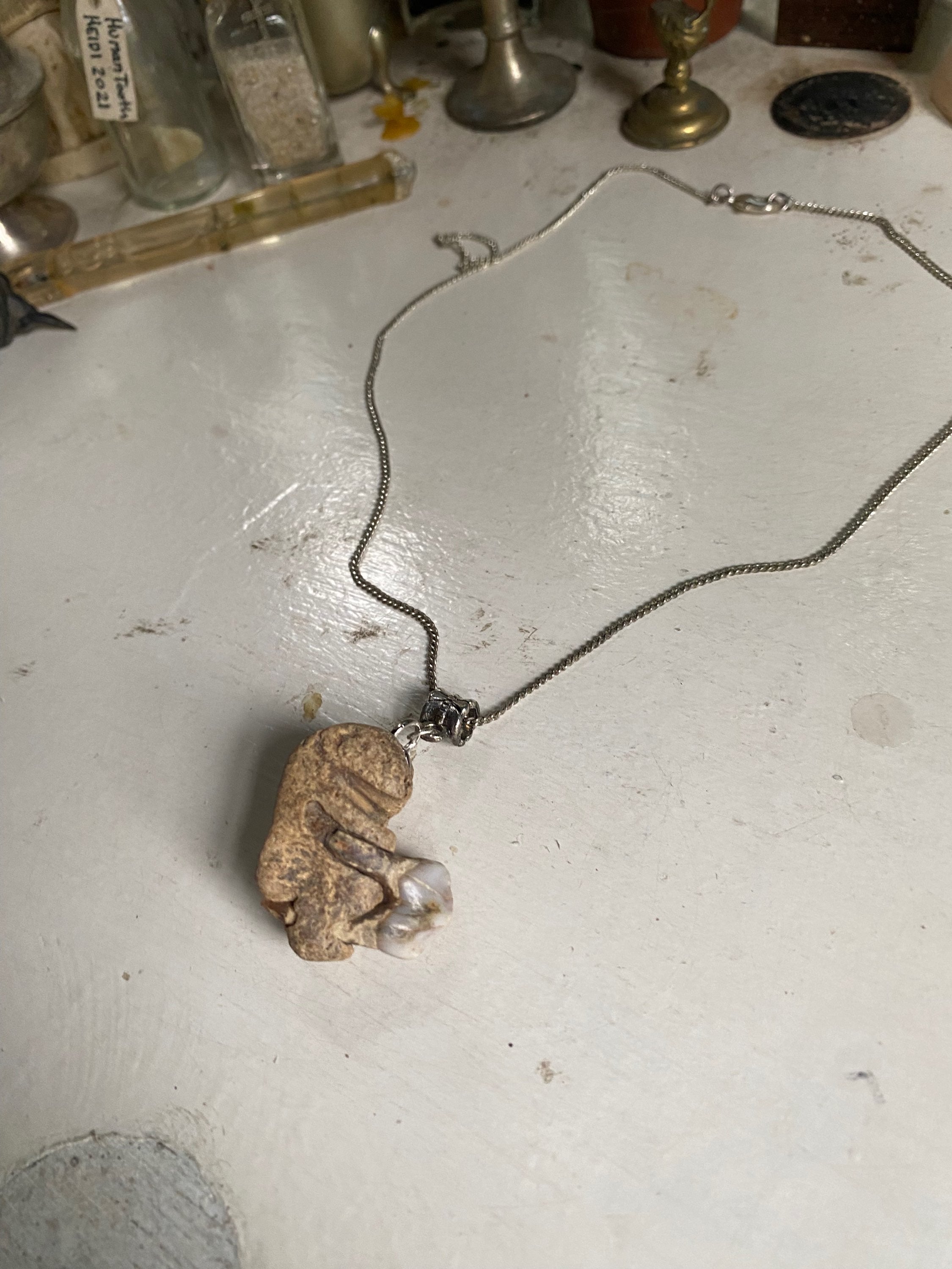 Tooth in Fossilised Bone on a Chain image 1