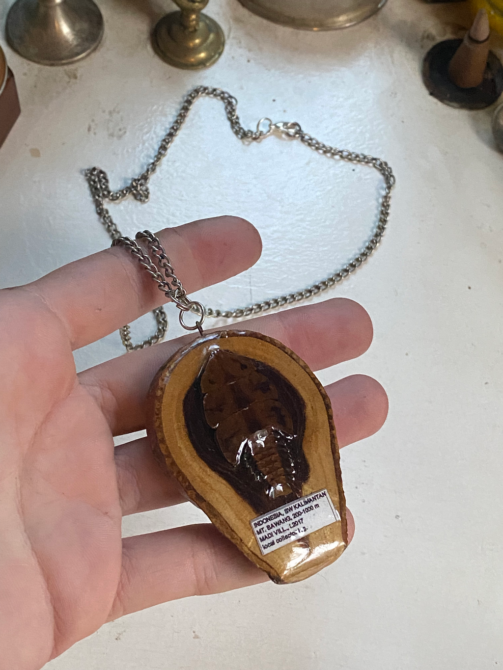 Insect Specimen Wood Necklace image 4