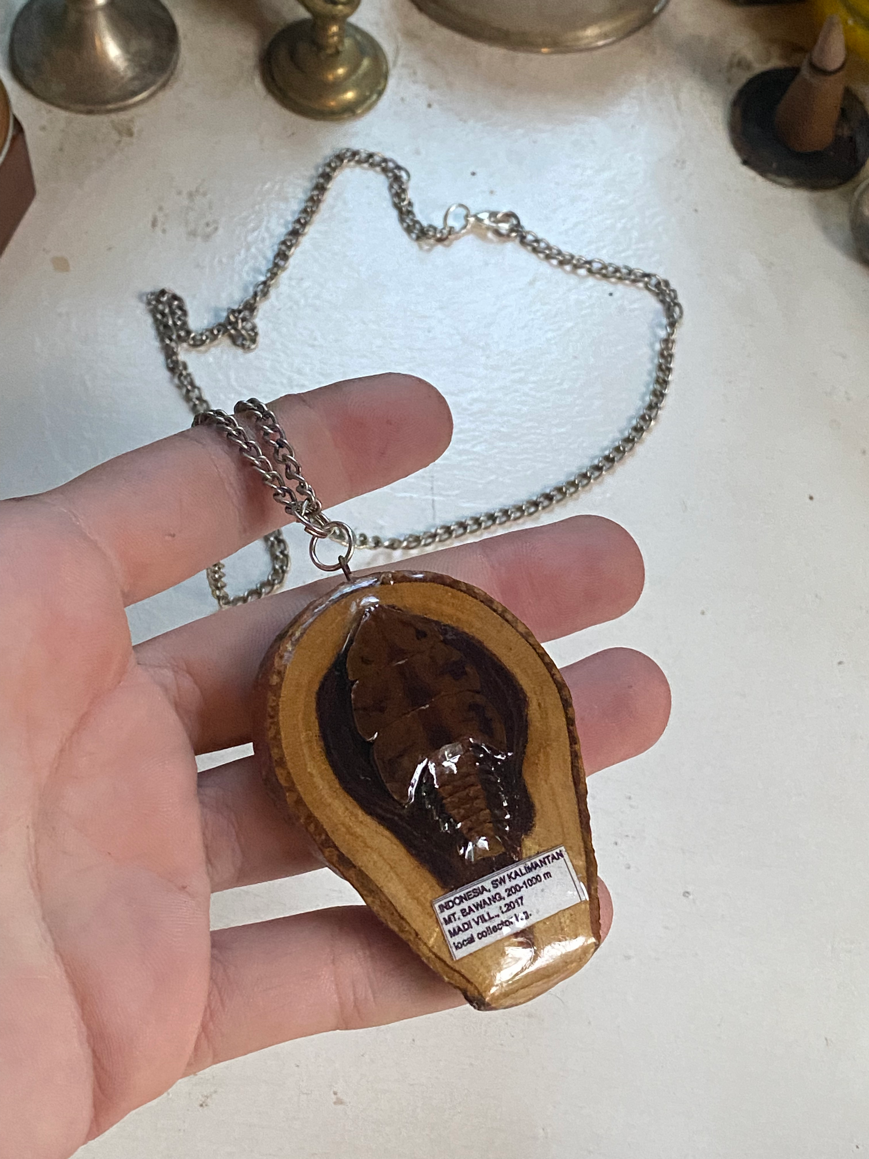 Insect Specimen Wood Necklace image 4