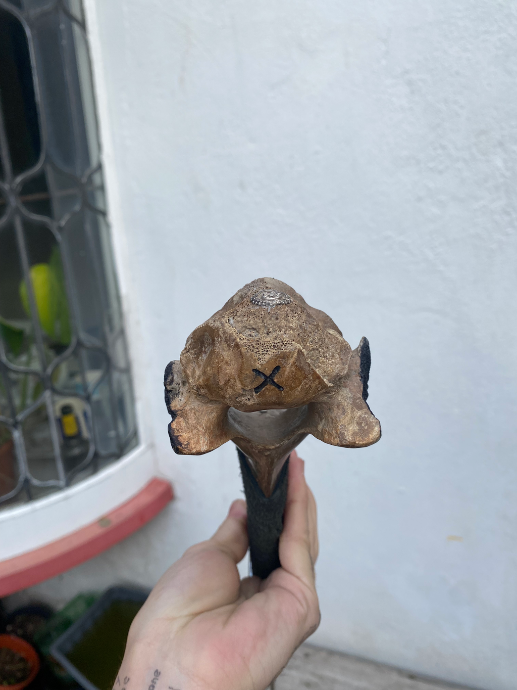 Vertebrae Bone Sword with a Beetle image 8