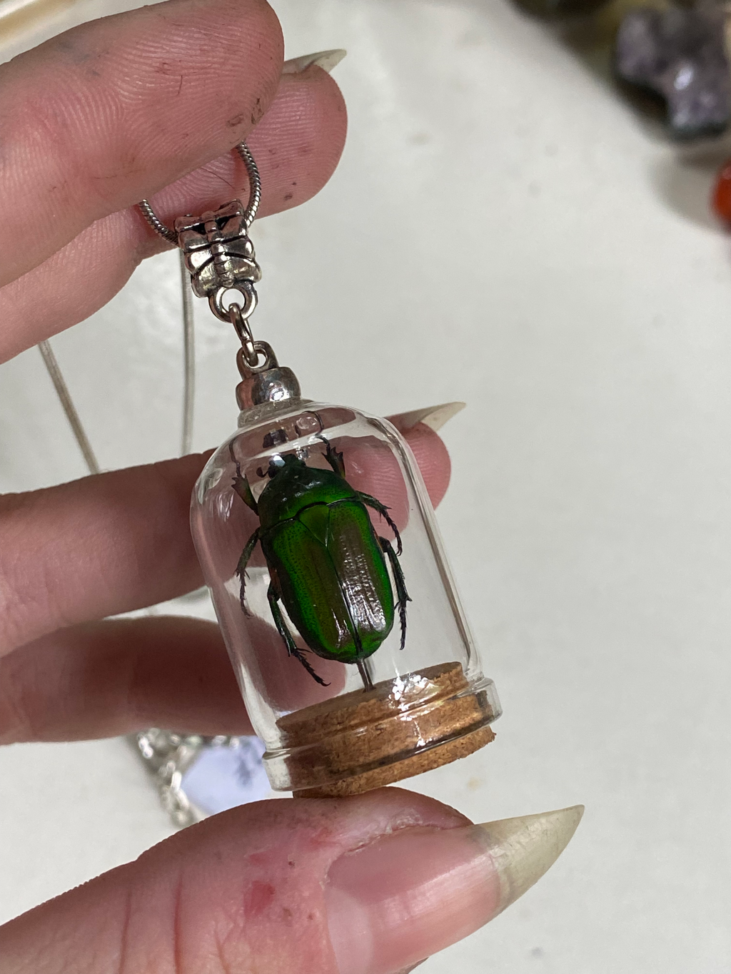 Green Scarab Beetle in Glass Dome Necklace image 2