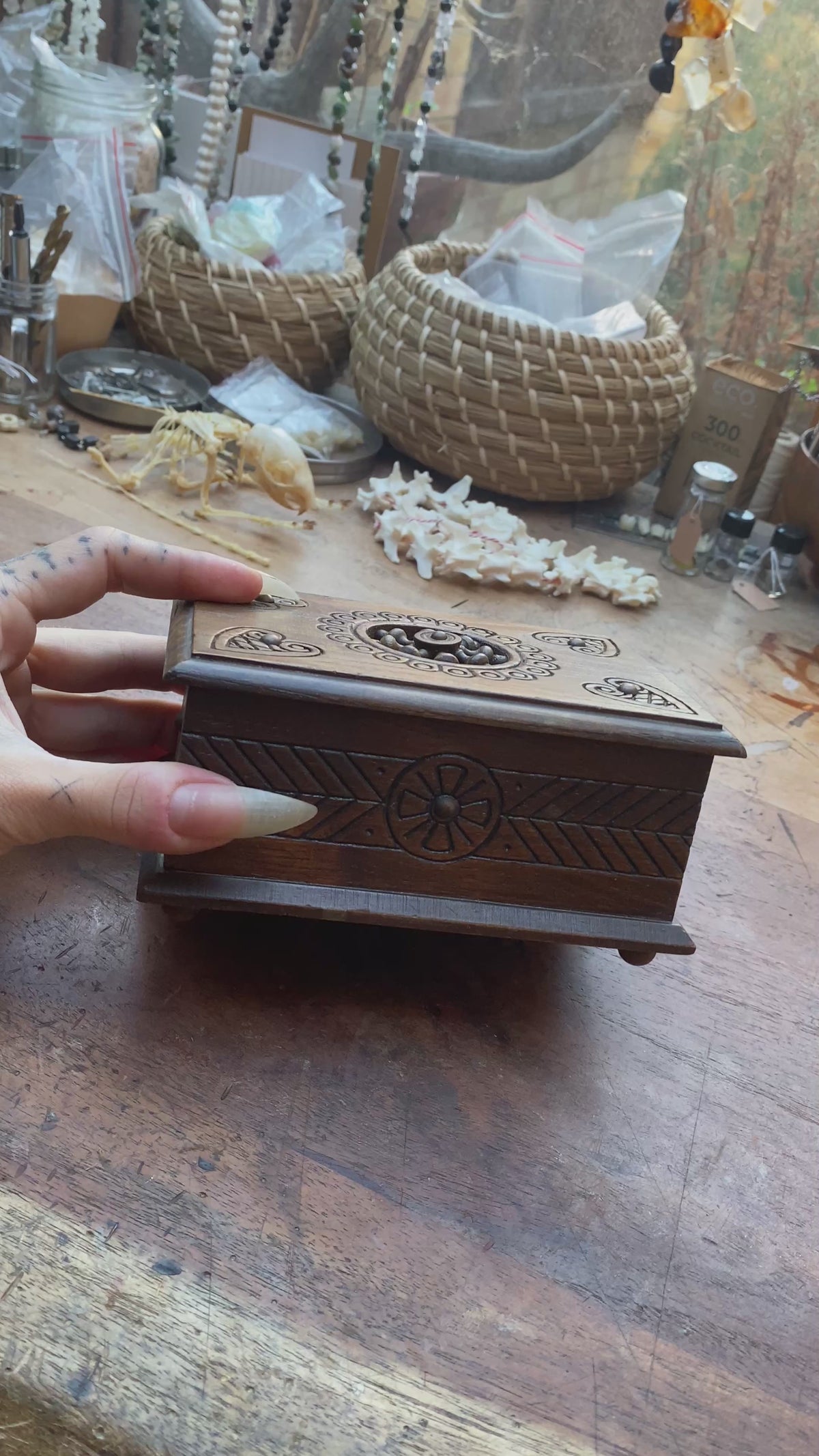 Wooden Musical Box with Snake Skeleton
